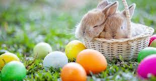 Ostern in Deutschland – Tradition und Frühlingsvergnügen | Alumniportal Deutschland