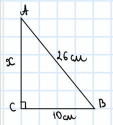 060077rx-49d8-372x411.png