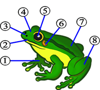 060078x3-2f4e-200x179.png
