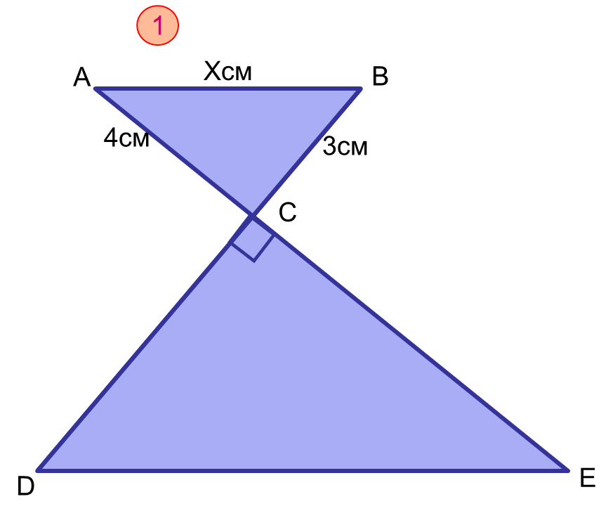 060079sj-b5c6-873x737.png