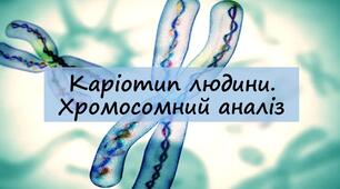 Презентація "Каріотип людини. Хромосомний аналіз"