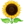 🌻