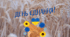 День єднання 2024 (презентація)