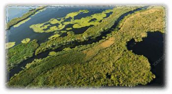 06007fut-2a44-350x192.png