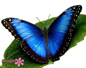 06007g6t-5b49-303x241.jpg