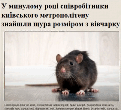 06007h5d-4705-403x367.png