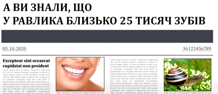 06007h5h-e4e5-715x309.png