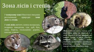 Природні зони Північної Америки. Вертикальна поясність. презентація до уроку географії в 7 класі