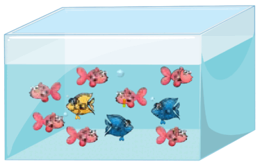 06007snu-d5f5-377x237.png