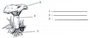06007tw8-a5fd-448x190.jpg