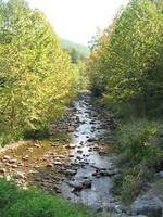 06007un2-cbfc-150x200.jpg