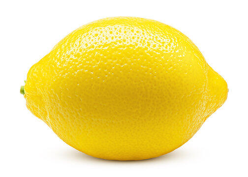 Lemon Images – Browse 2,526,754 Stock Photos, Vectors, and Video | Adobe Stock