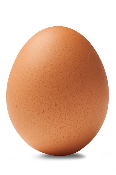 Single Brown Chicken Egg Isolated On White Background Stock Photo - Download Image Now - iStock