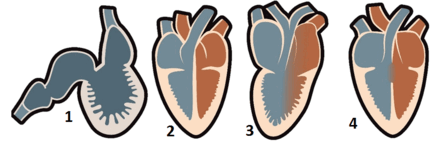 06007wy4-025f-441x143.png