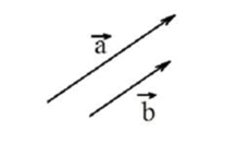 06007xyv-2db0-218x132.png