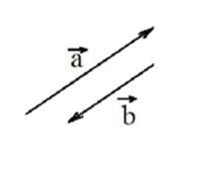 06007y2d-e328-206x180.png