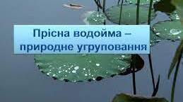 Природне угруповання - прісна водойма