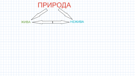 06007zv3-461d-441x249.png
