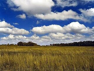 060081wc-b9fc-320x240.jpg
