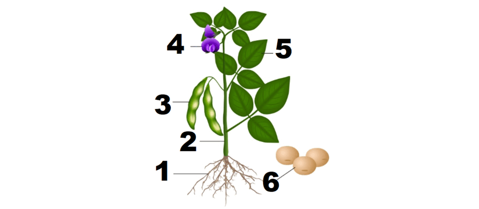 060082bt-452d-940x411.png