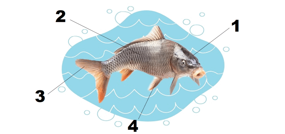 060082f5-7c8a-940x442.png