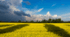 L'Ukraine