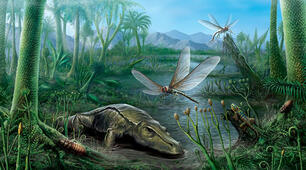 Самостійна робота "Історія життя другої половини палеозойської ери".