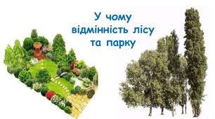 Презентація на тему "У чому відмінність лісу та парку" 6 клас НУШ
