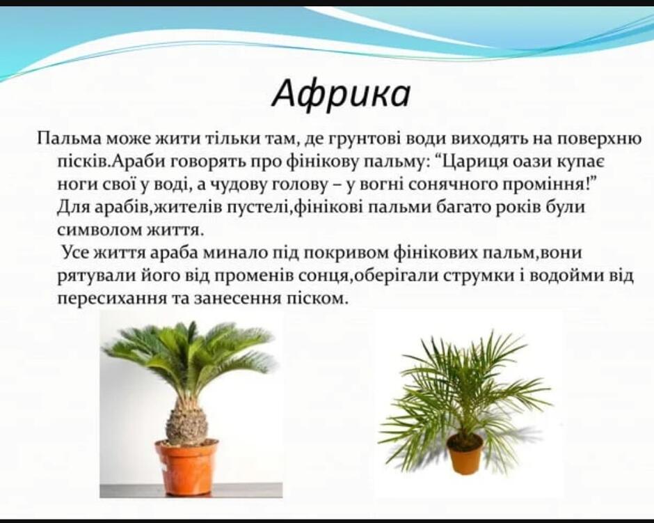 060087dd-5c9d-940x751.jpg