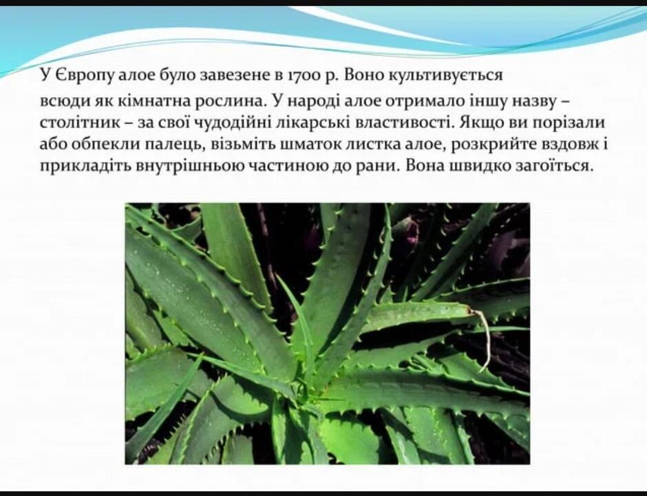 060087iv-c454-940x721.jpg