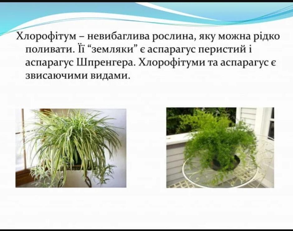060087o4-3c35-940x743.jpg