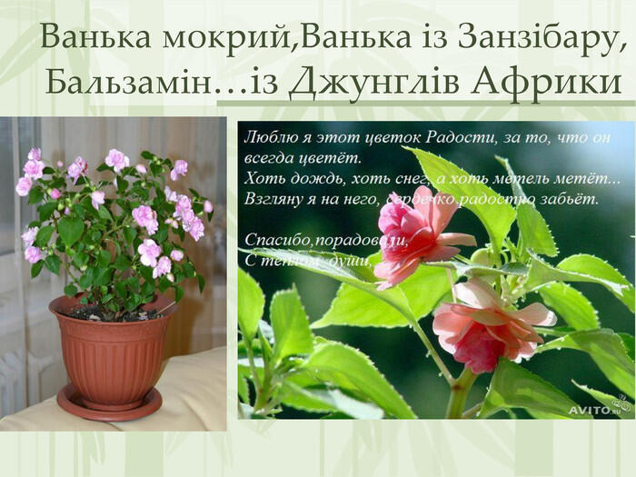 060087qw-51d0-700x525.jpg