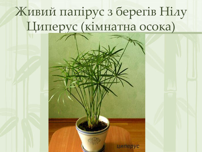 060087vh-eb84-700x525.jpg