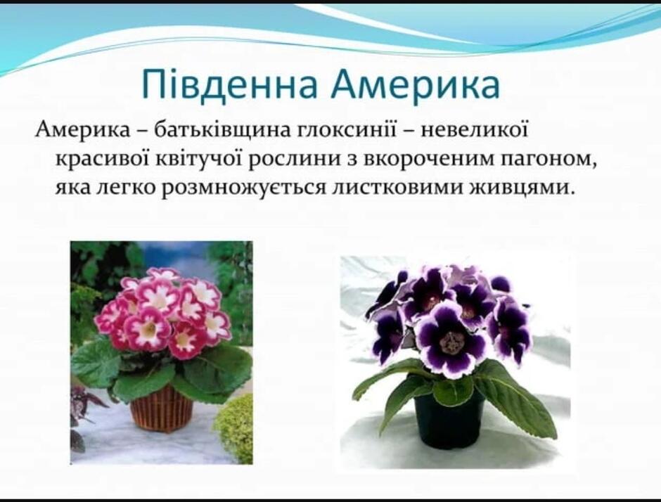 06008905-5412-940x714.jpg