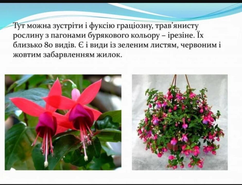 0600894c-8773-940x719.jpg