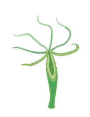 06008ano-2807-184x238.png