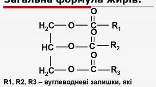 Презентація для проведення уроку хімії у 10 класі на тему "Жири"