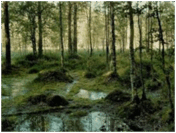 06008cyp-40eb-176x133.png