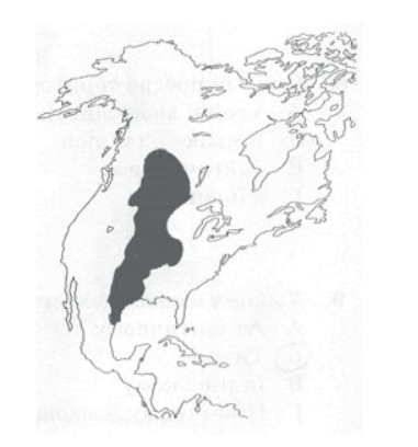 06008d1s-b71f-381x408.png