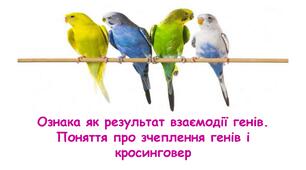 Ознака як результат взаємодії генів. Поняття про зчеплення генів і кросинговер