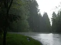 06008fte-00f7-199x146.webp