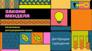 Презентація на тему: "Закони Менделя. Незалежне успадкування ознак"