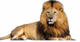 06008jqv-076b-159x84.png