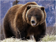 06008jsc-09a5-191x143.png