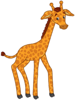 06008k4s-4728-152x203.png