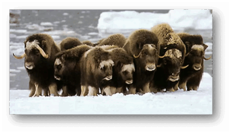 06008kr2-e948-474x274.png