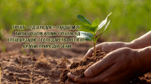 Ґрунт – «дзеркало» ландшафту. Типи ґрунтів. Вплив ґрунтів на спеціалізацію господарства регіону, країни. Природні зони