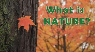 41.  What Is Nature for You?