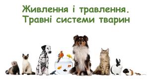Живлення	і травлення. Різноманітність травних систем       біологія 7 клас