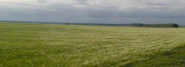 06008s18-9d40-370x135.jpg